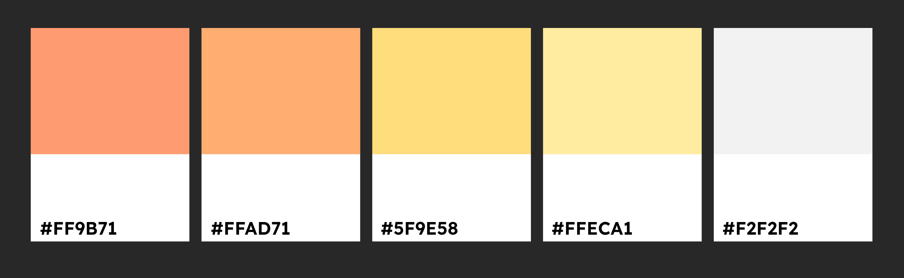 Color Palette