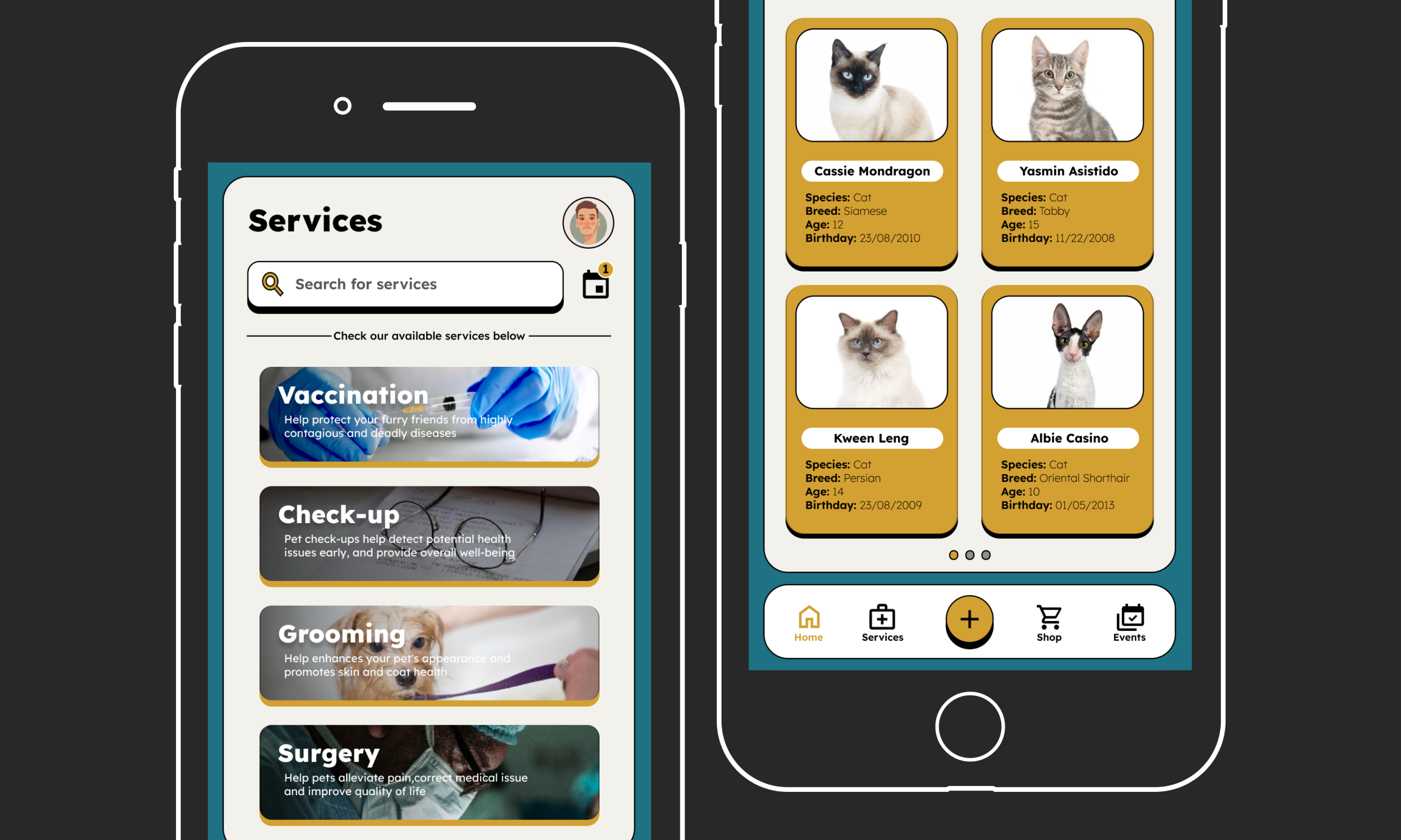 Finished UI of Paw Hub