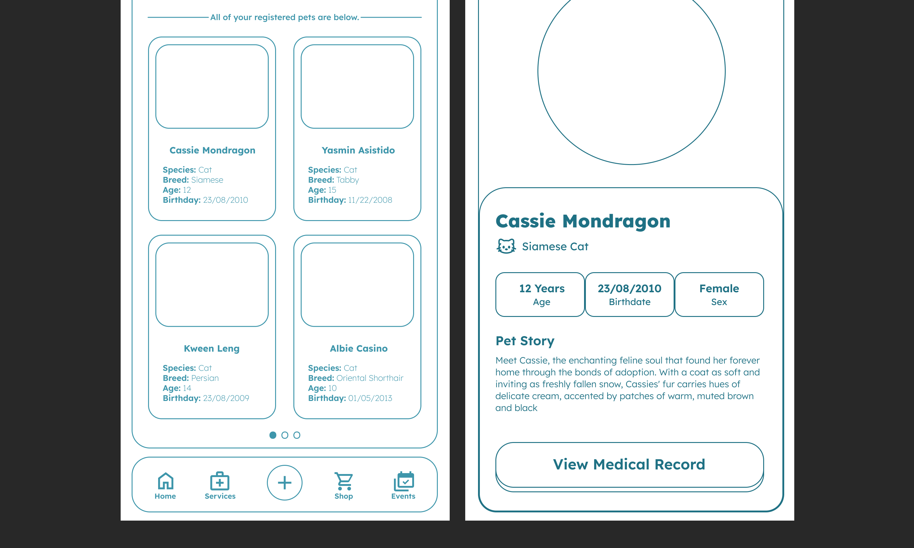 Mid-fidelity UI of Paw Hub